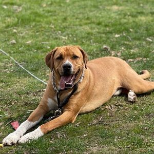 Meet your Posher, Cassy